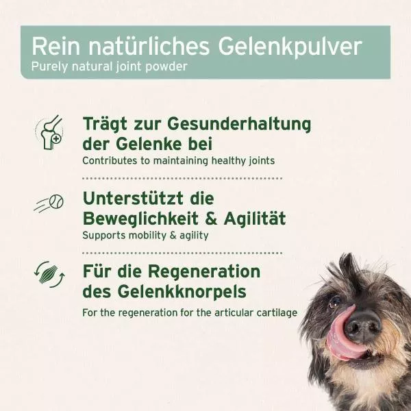 Grünlippmuschelpulver Grünlippmuschelpulver